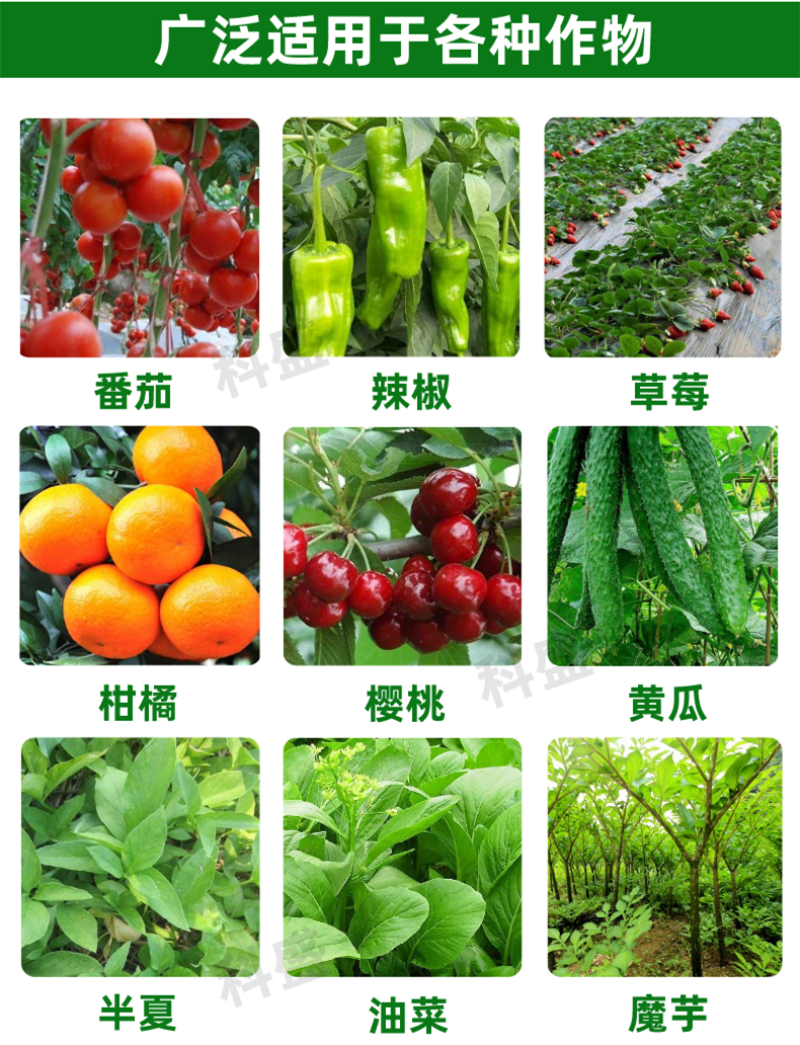 哈茨木霉菌1公斤10亿活菌防病害促生根微生物菌剂肥料