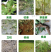 哈茨木霉菌1公斤10亿活菌防病害促生根微生物菌剂肥料
