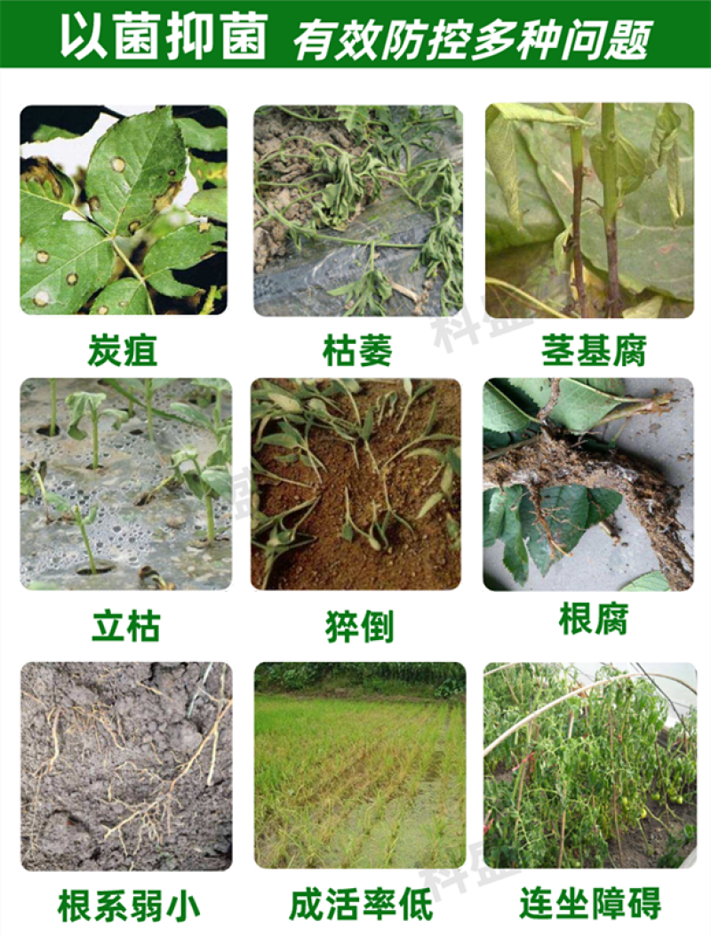 哈茨木霉菌1公斤10亿活菌防病害促生根微生物菌剂肥料