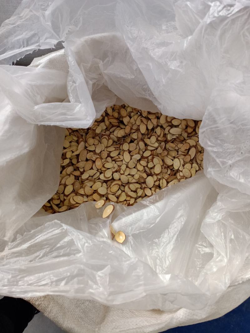 桑枝，桑枝片，片形均匀，颜色好干净无杂片！质优价廉！