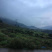 脱毒白姜仔姜—2018大凉山普格高山健康新基地