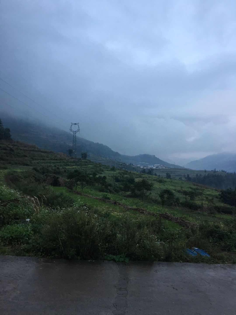 脱毒白姜仔姜—2018大凉山普格高山健康新基地