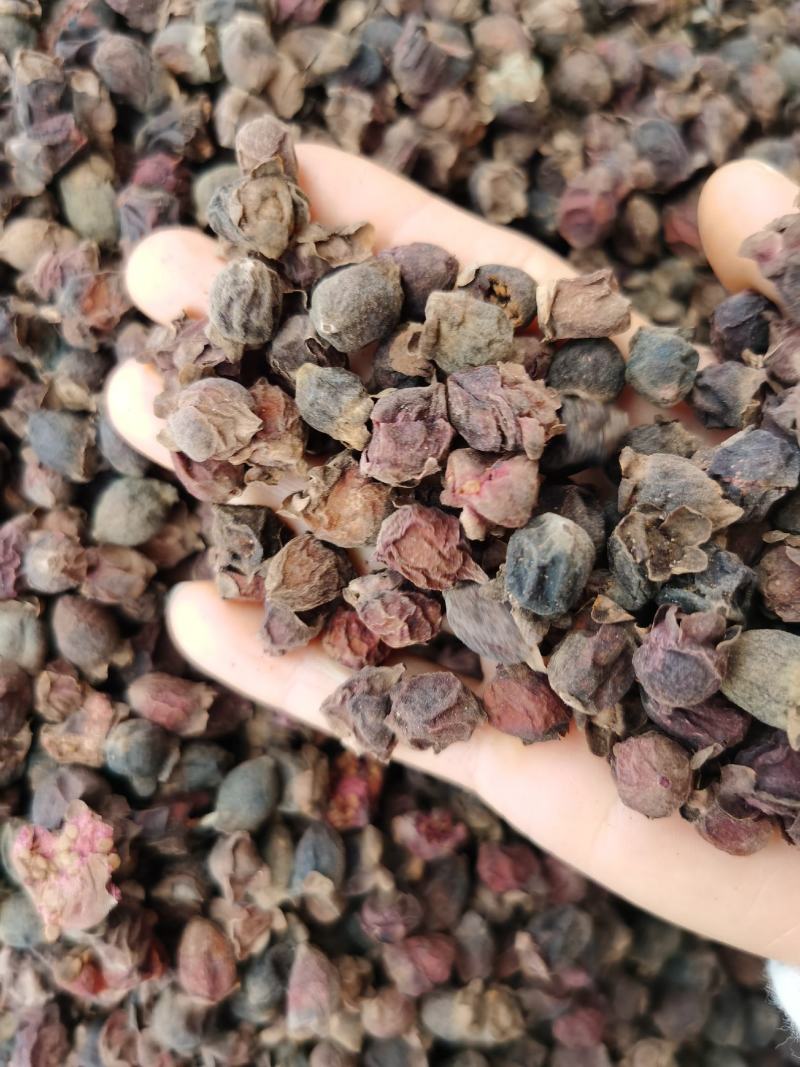稔子干新货无硫颜色好粒饱满产地直销