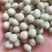 厂家直销大颗粒青碗豆泡菜豆发芽菜苗豆