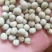 厂家直销大颗粒青碗豆泡菜豆发芽菜苗豆