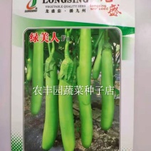 茄子种子绿美人茄子种子早熟抗病丰产果面油绿光亮