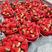 【推荐】奶油草莓宁玉妙香大量上市现摘即发产地直供全国代发