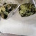 青桑叶！霜桑叶新货售卖