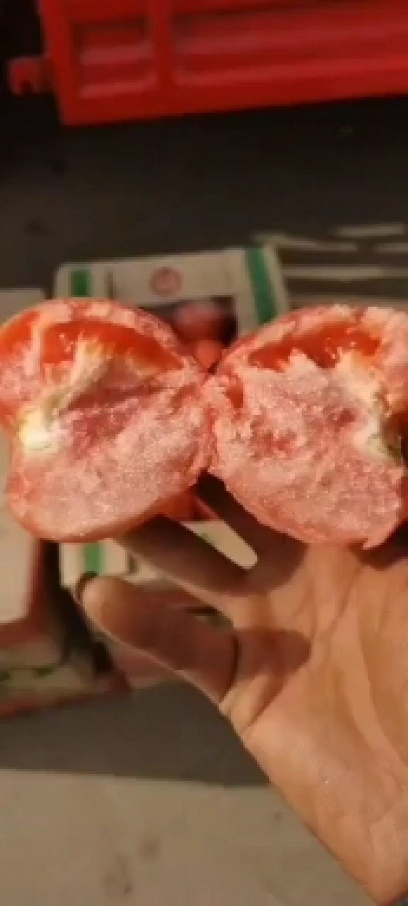 河北邯郸西红柿大量有货质量好货源充足常年供应各种商超