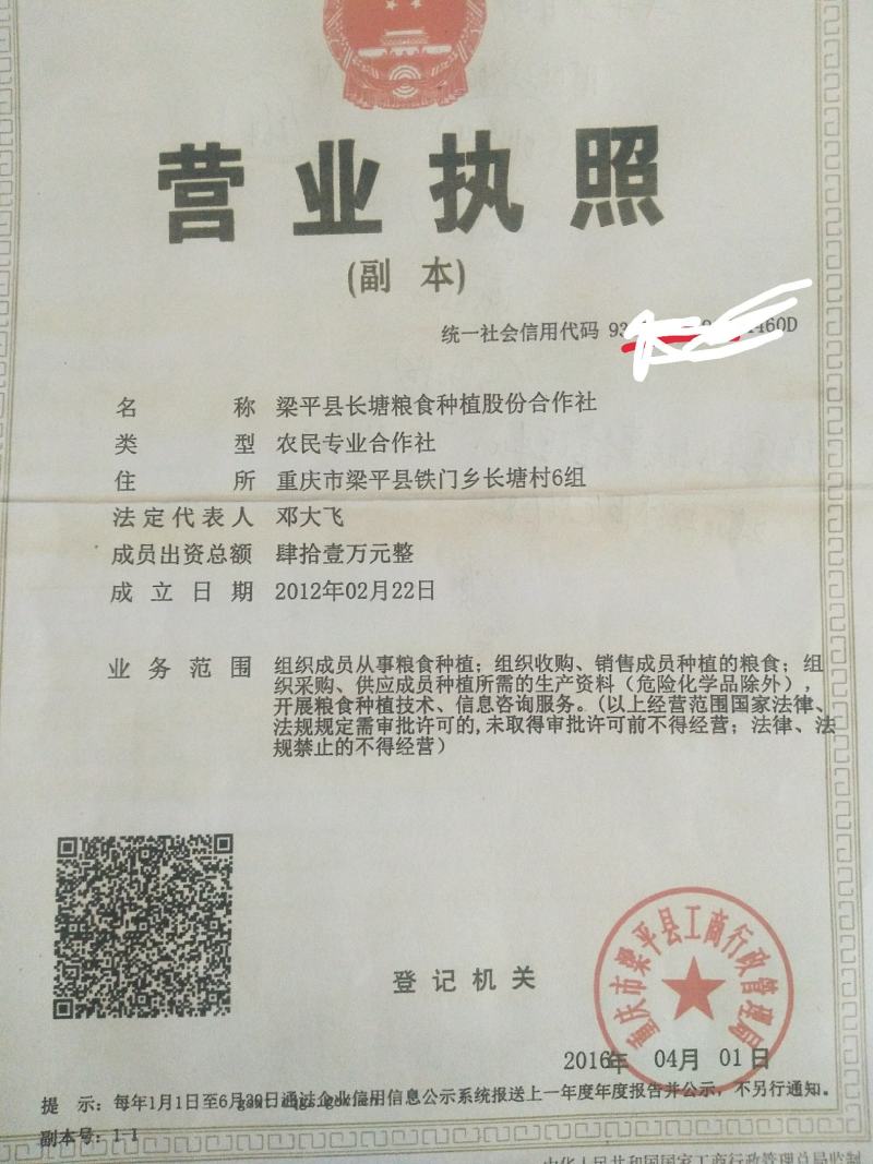 重庆本地专业合作社（农户+合作社）优质长香米。