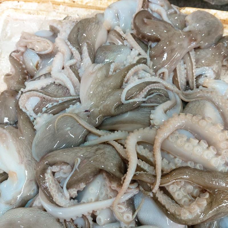 冰鲜八爪鱼（新鲜到货，重冰保存，保存方便）