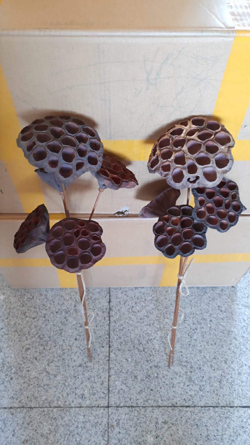 干莲蓬莲蓬干花禅意干花插花精品干莲蓬真花