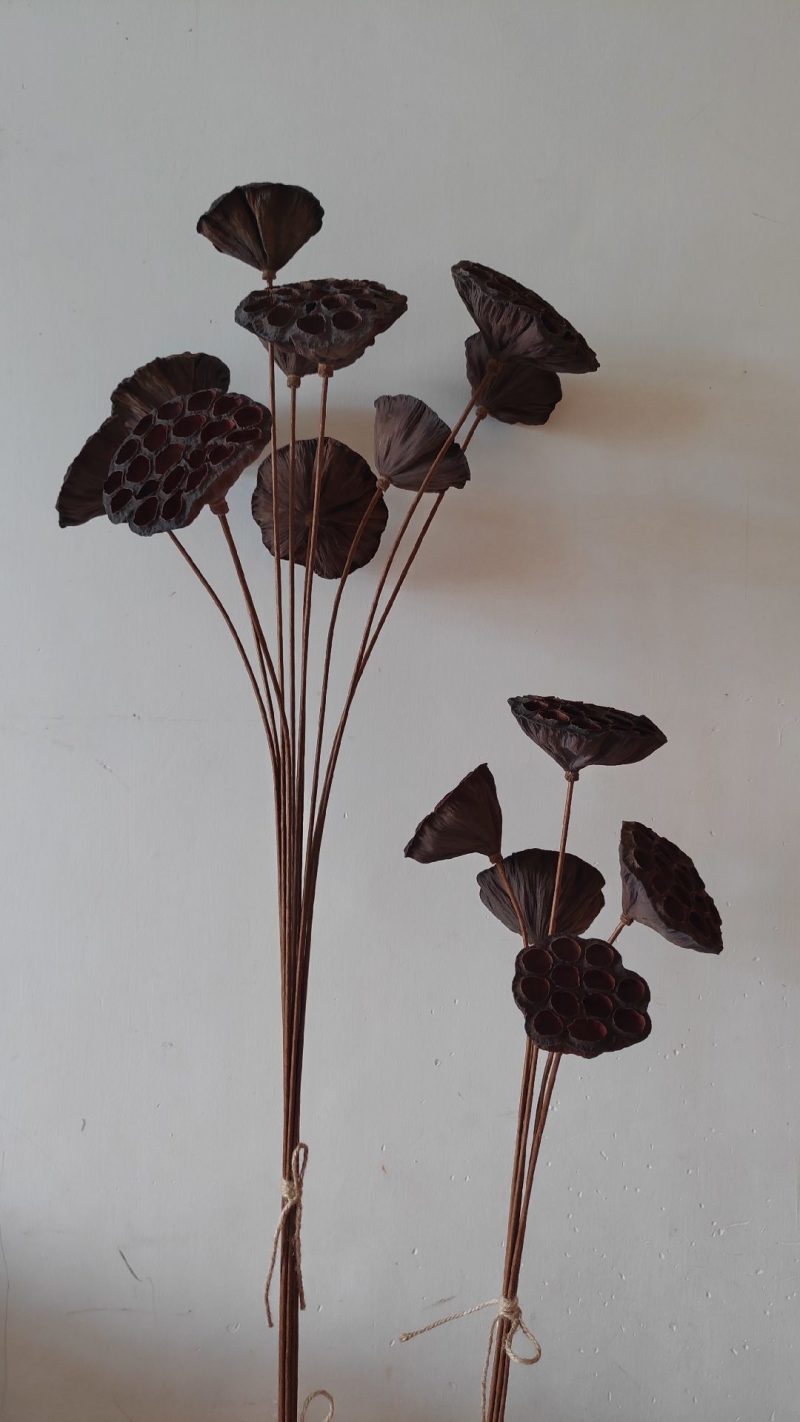 干莲蓬莲蓬干花禅意干花插花精品干莲蓬真花