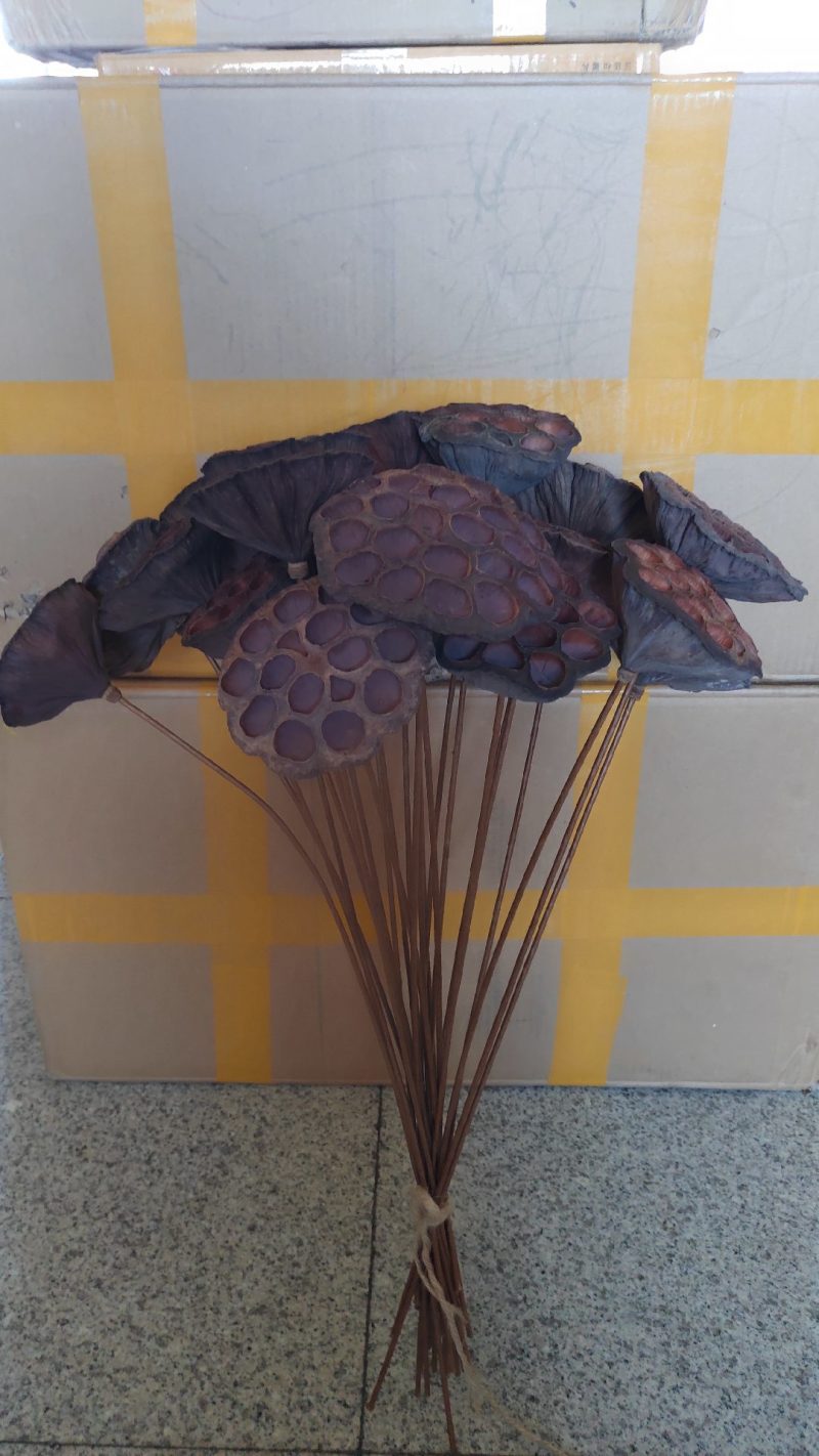 干莲蓬莲蓬干花禅意干花插花精品干莲蓬真花