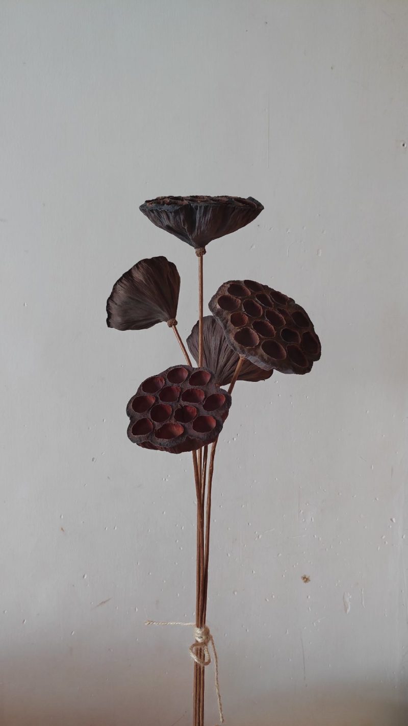 干莲蓬莲蓬干花禅意干花插花精品干莲蓬真花