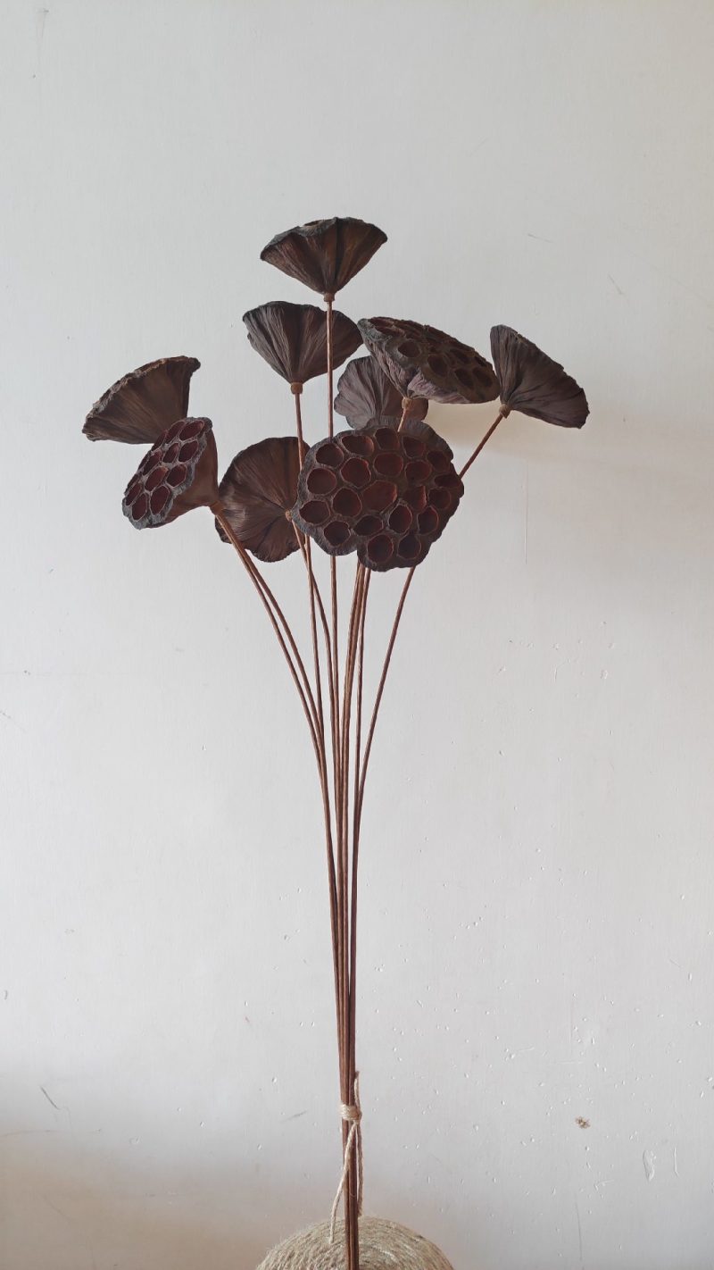 干莲蓬莲蓬干花禅意干花插花精品干莲蓬真花
