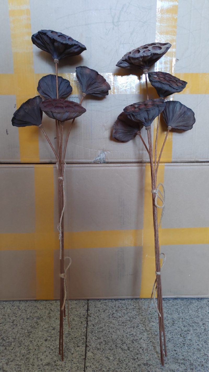干莲蓬莲蓬干花禅意干花插花精品干莲蓬真花