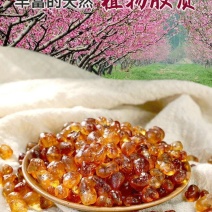 珍珠胶农家黄桃胶皂角米雪燕组合食用黄红桃胶原产地零售批发