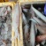 冰鲜鱿鱼（货品新鲜，肉感，质感无差异，欢迎咨询订购）
