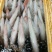 冰鲜鱿鱼（货品新鲜，肉感，质感无差异，欢迎咨询订购）