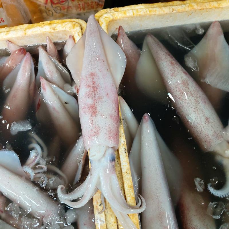 冰鲜鱿鱼（货品新鲜，肉感，质感无差异，欢迎咨询订购）