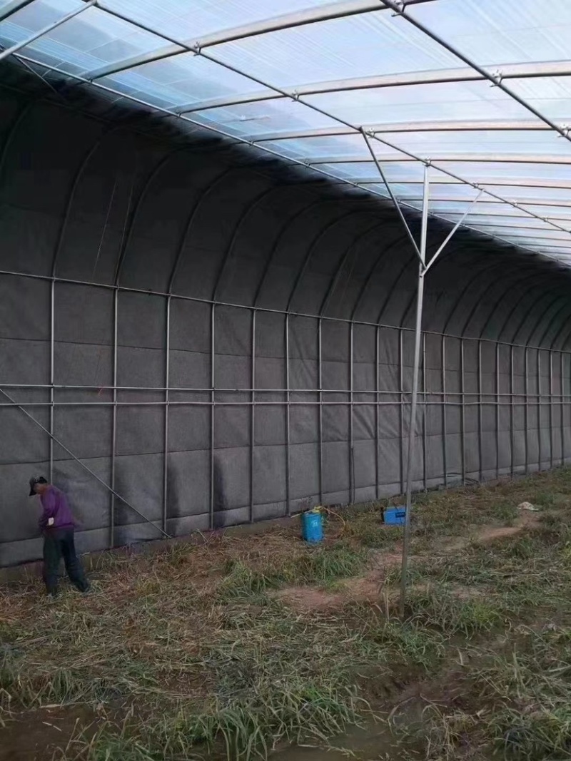 养殖棚种植棚温室大棚管大棚管养殖种植温室成套大棚