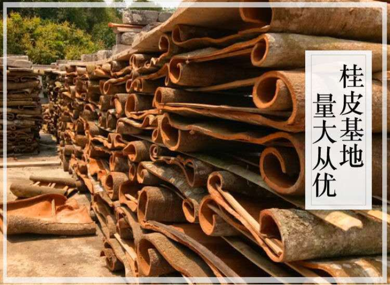 桂皮桂通刮皮丝调味香料香辛料火锅底料广西产地批发
