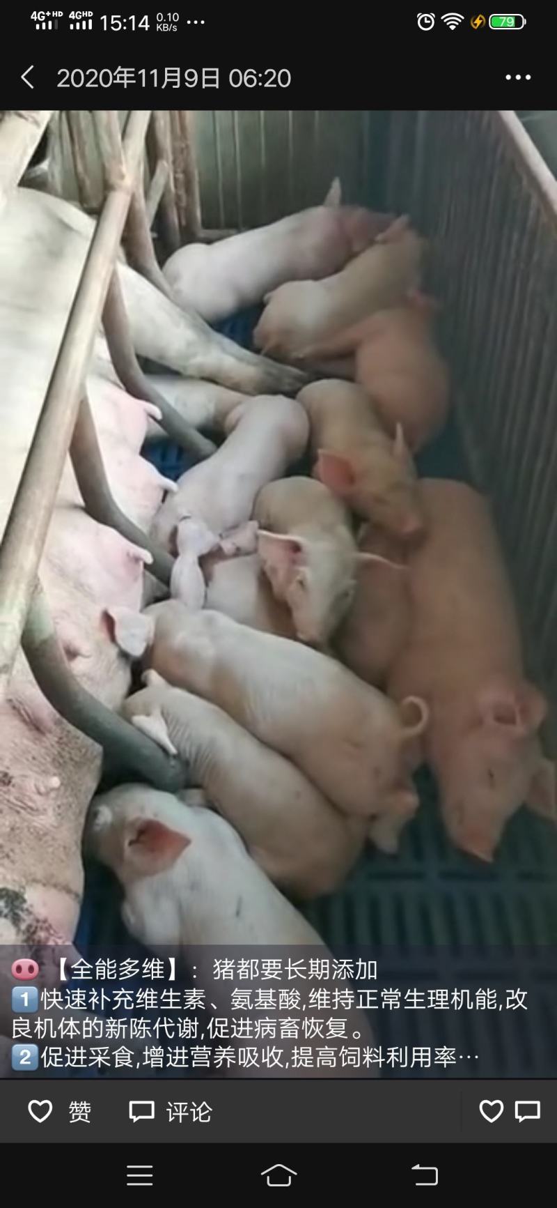 【全能多维】家蓄家禽添加剂