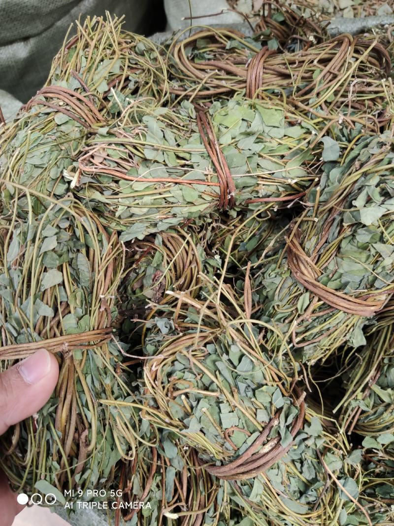 【推荐】鸡骨草野生新货带叶青绿青绿干货直发欢迎下单