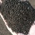 牛粪发酵(生根壮苗型)添加200亿活性菌(高抗重茬)