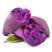 紫薯紫薯紫薯紫薯紫薯紫薯