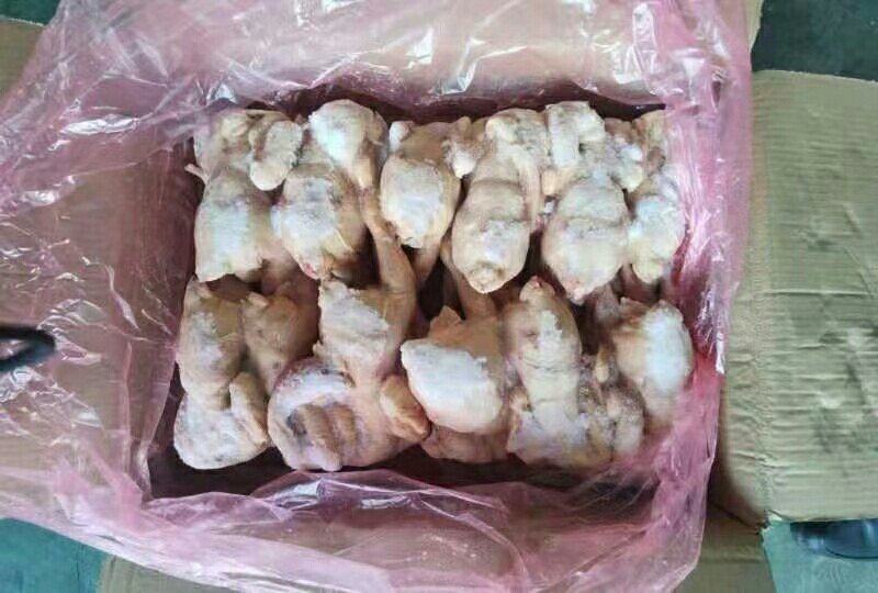 12只装三黄鸡，低价出售-厂家直接发货，长期有货