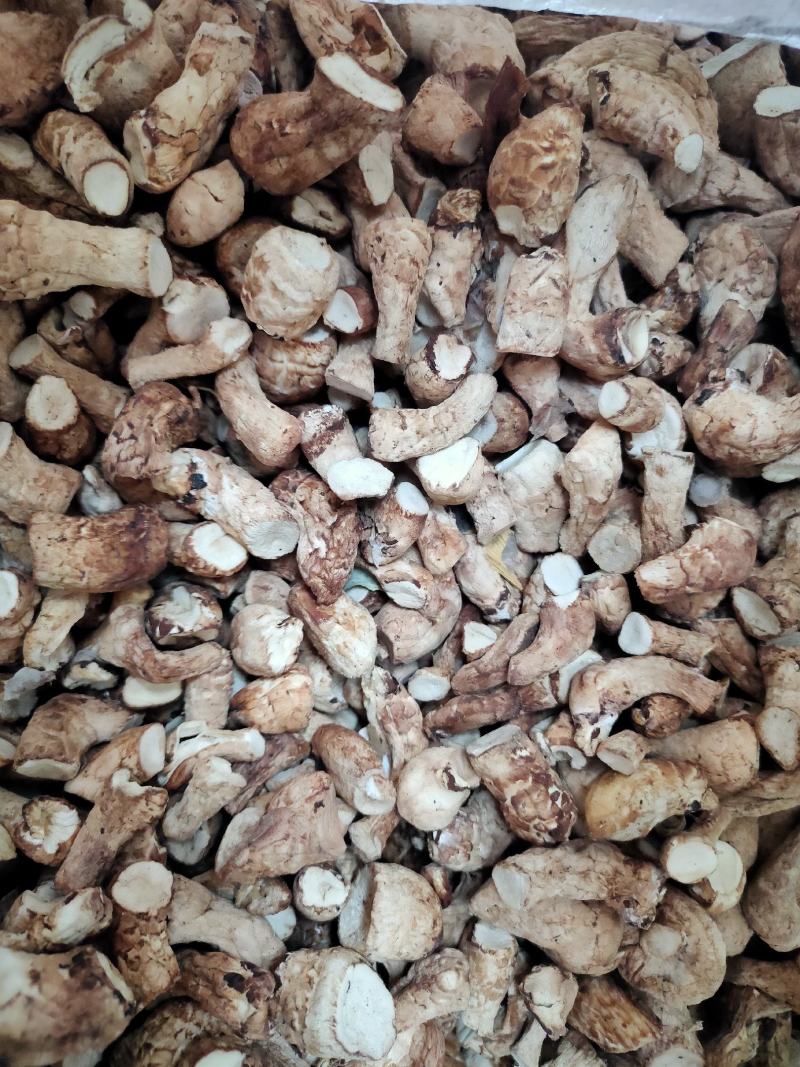 【产地直发】河南西峡香菇原产地大量供应香菇脚，香菇腿干货