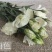 洋桔梗香槟色白色粉色礼物生日