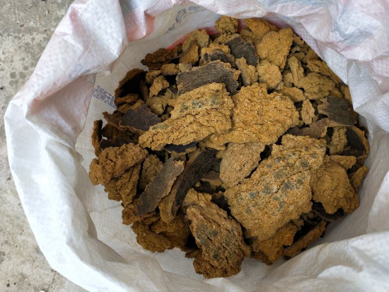 棉籽仁饼厂家直销养殖养牛养羊育肥的
