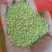 售3-10月豆丹卵，回收豆丹丈母虫，