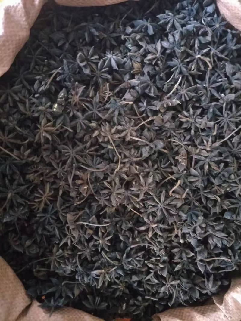 干枝八角，大量批发有货。