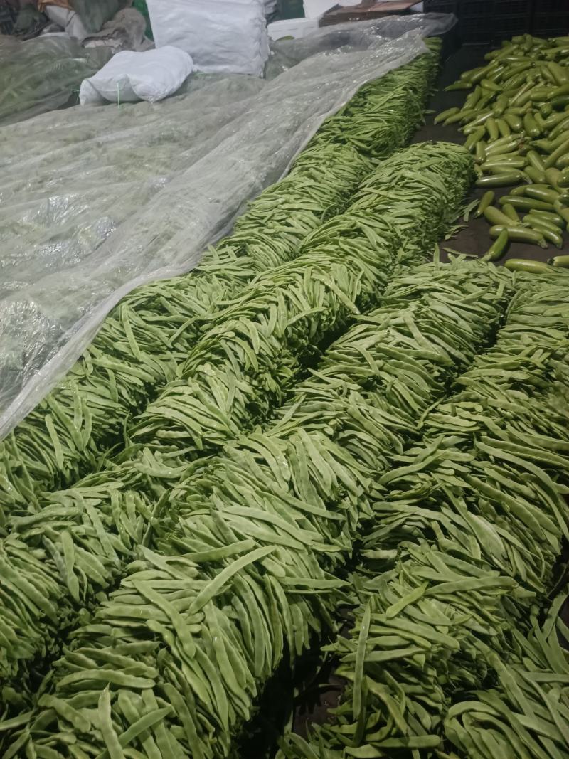 供应精品，扁豆，无丝豆，产地直供，代发全国各地