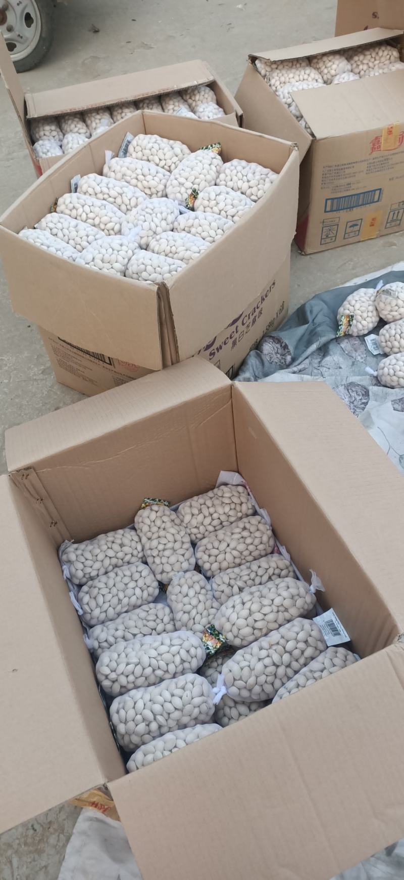 银杏果，白果，邳州特产，产地直销一斤一袋