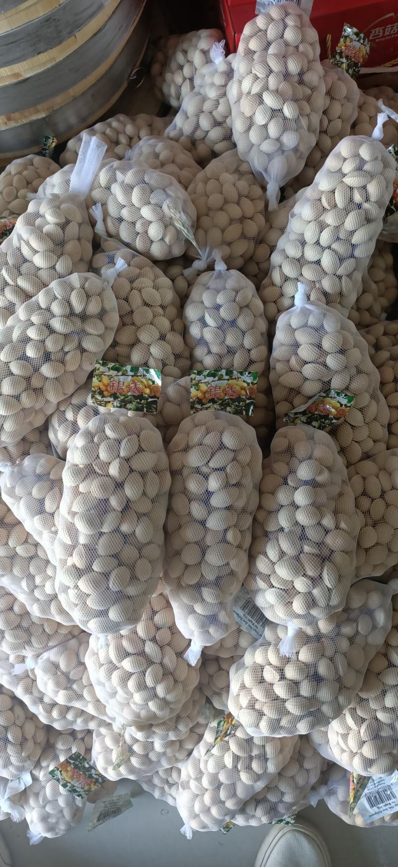 银杏果，白果，邳州特产，产地直销一斤一袋