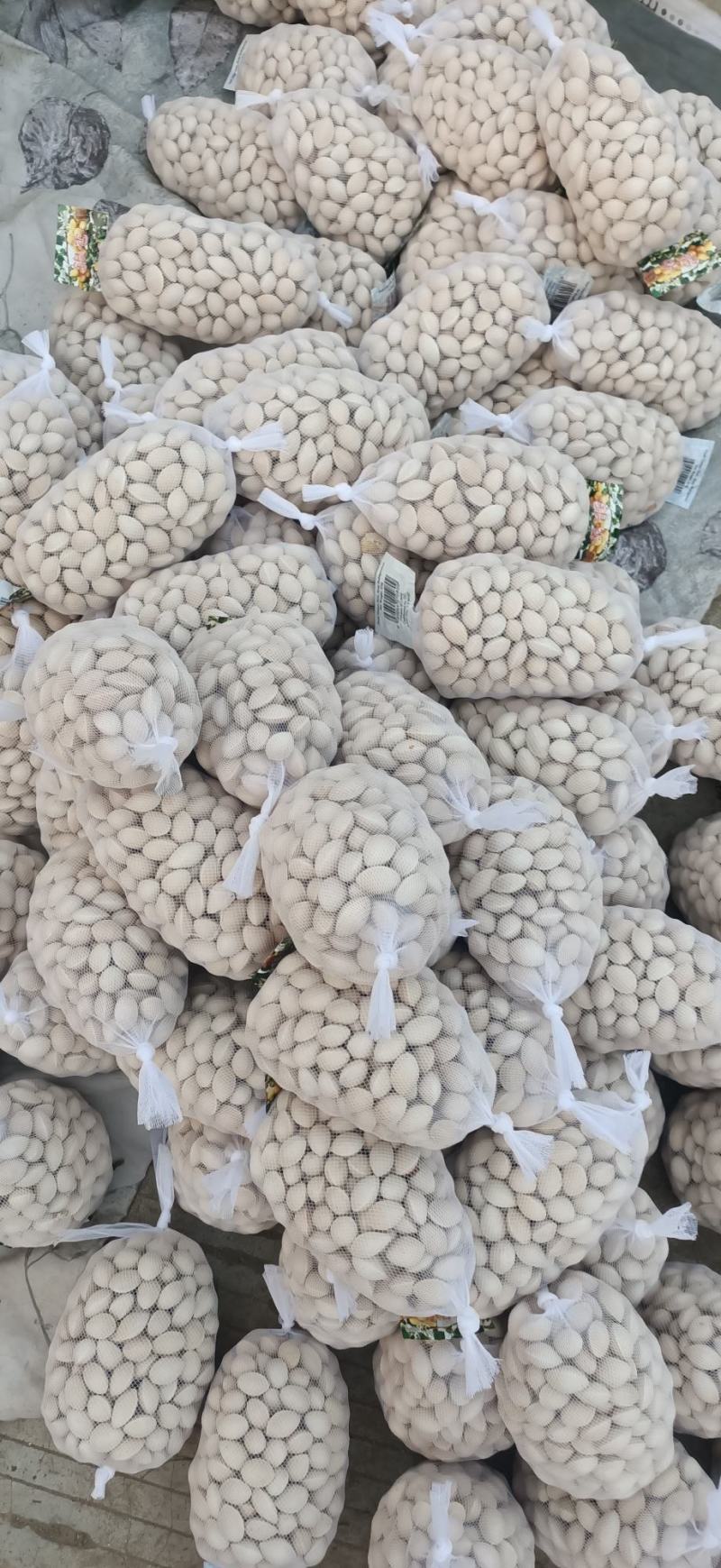 银杏果，白果，邳州特产，产地直销一斤一袋