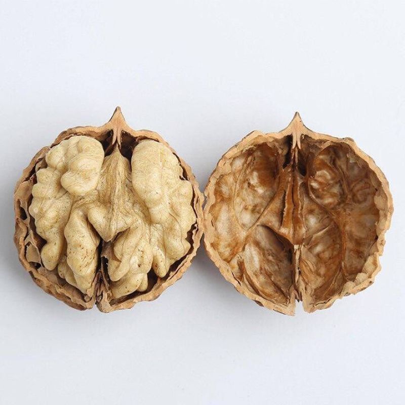 【厂家直销限时特价】新疆薄皮核桃好核桃厂家直销新疆特产