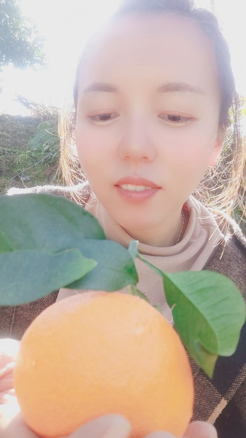 爱媛果冻橙好吃化渣，老少皆宜