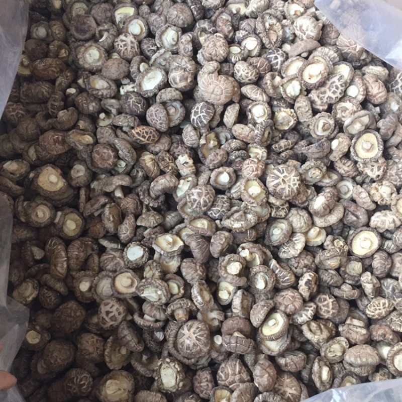 【找好货】花菇干货新货肉厚剪脚原产地一手货源货源充足批发