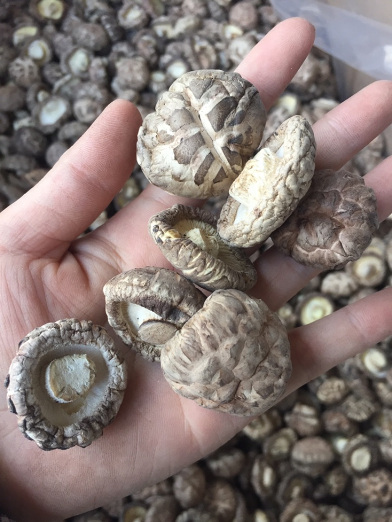 【找好货】花菇干货新货肉厚剪脚原产地一手货源货源充足批发