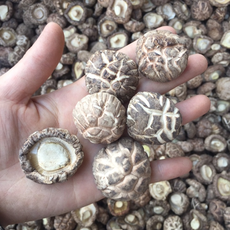 【找好货】花菇干货新货肉厚剪脚原产地一手货源货源充足批发