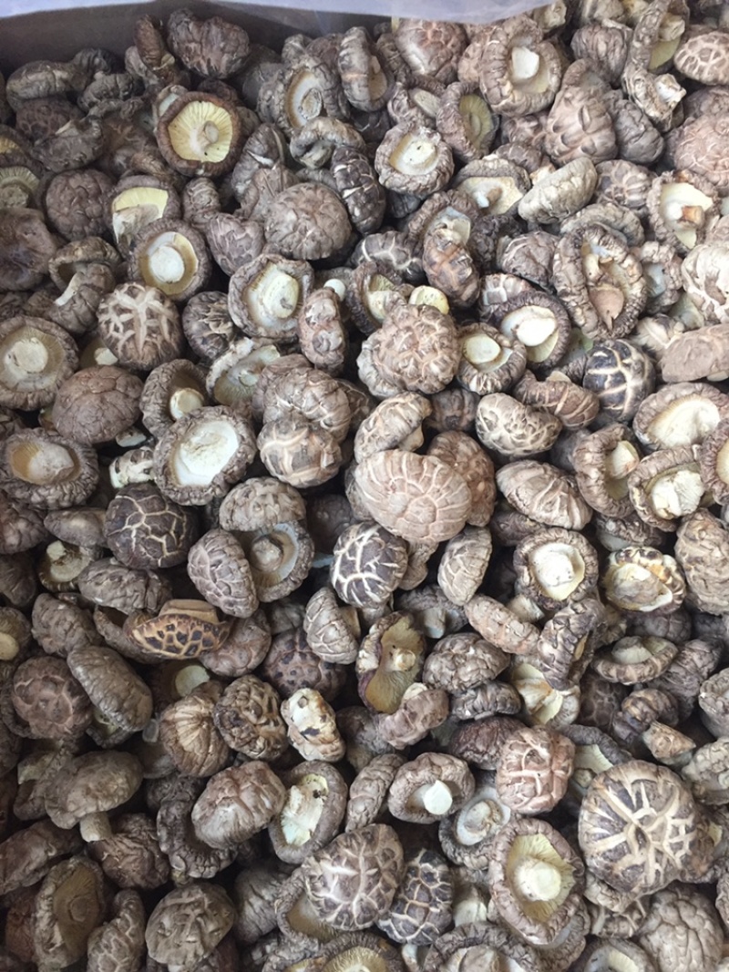 【找好货】花菇干货新货肉厚剪脚原产地一手货源货源充足批发
