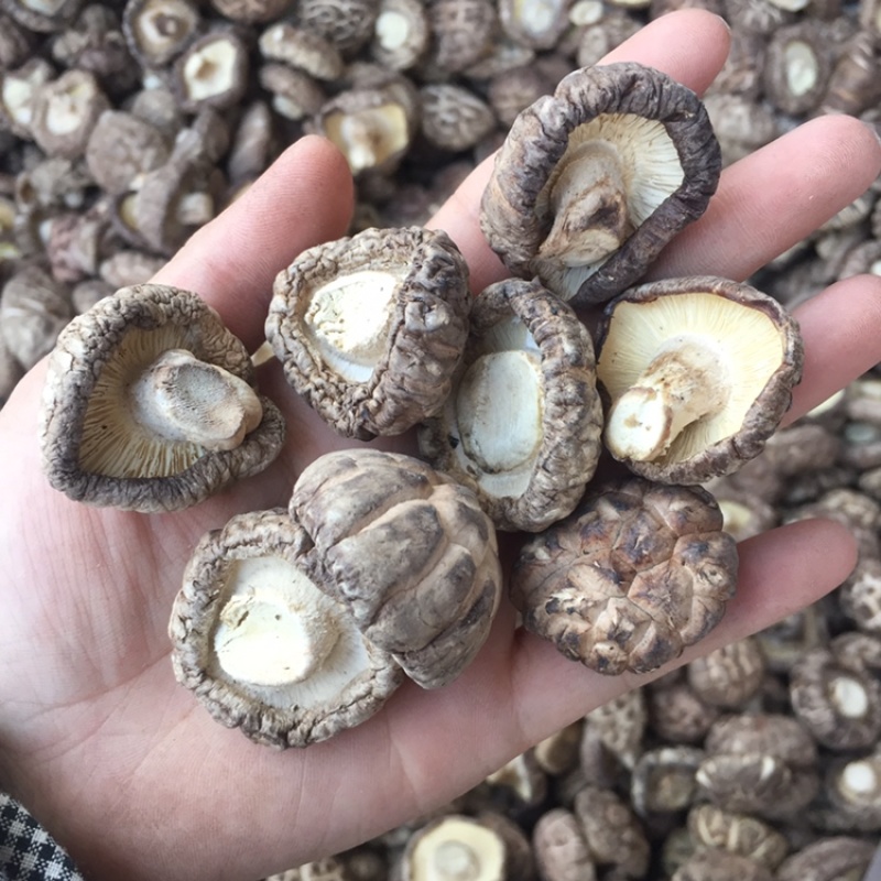 【找好货】花菇干货新货肉厚剪脚原产地一手货源货源充足批发
