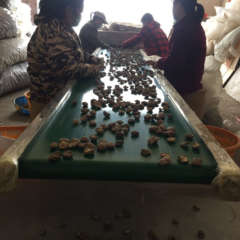 【找好货】花菇干货新货肉厚剪脚原产地一手货源货源充足批发