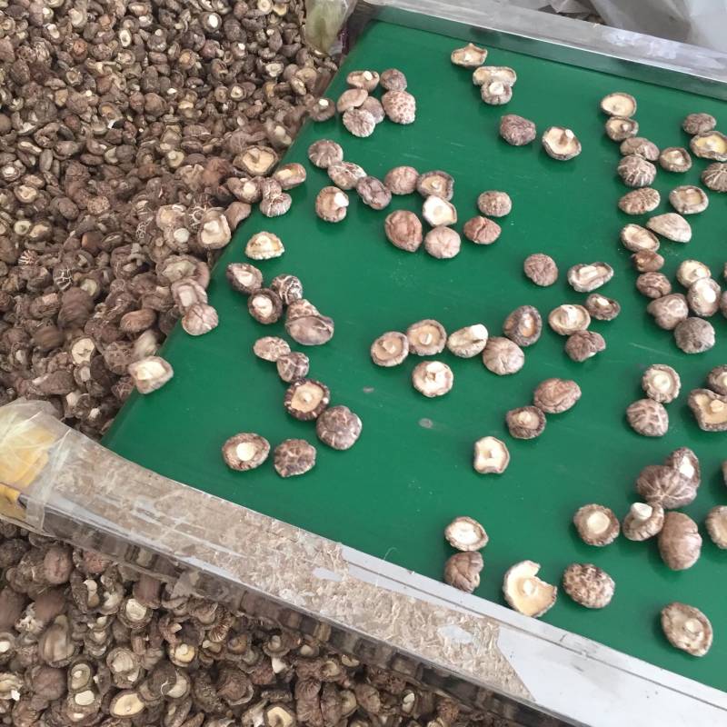 【找好货】花菇干货新货肉厚剪脚原产地一手货源货源充足批发